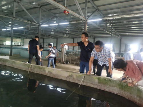 雙十 行動(dòng)支部丨科技幫扶增添動(dòng)力 黨建助推鄉(xiāng)村振興