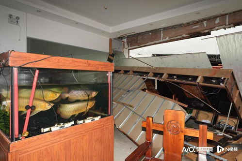 多圖俯瞰災(zāi)后廣州鐘落潭鎮(zhèn) 廠房受損嚴(yán)重,屋頂鐵皮被掀飛