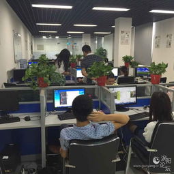 德祐商務(wù)信息咨詢 誠(chéng)邀精英，共筑未來(lái)